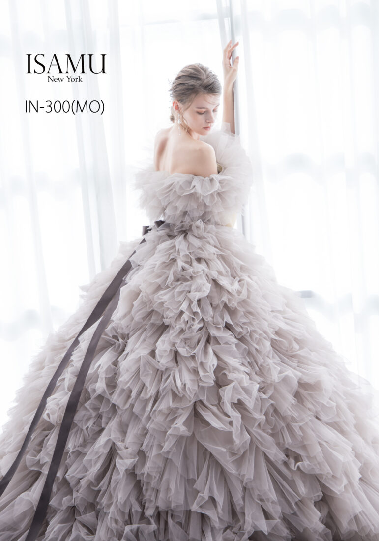 IN-300(MO)4